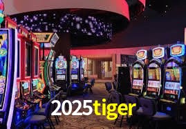 Sistema de Segurança Avançado 2025tiger - Criptografia e Proteção